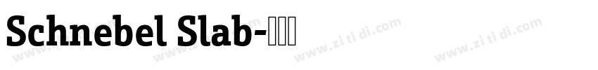 Schnebel Slab字体转换 Schnebel Slab字体转换